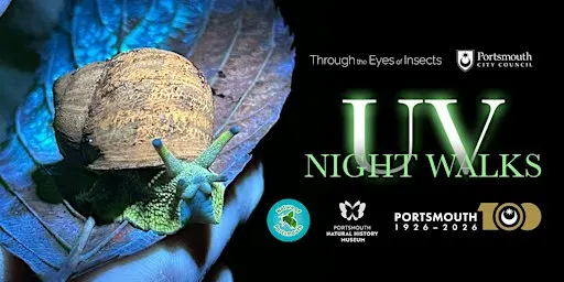 Highland Road Cemetery UV Night Walk