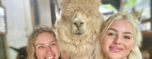 Alpacas, Geese, Bees & Great Pyrenees Farm Tour Adventure