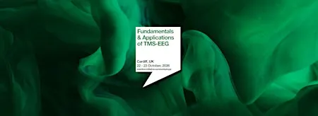 Fundamentals & Applications of TMS-EEG | Cardiff