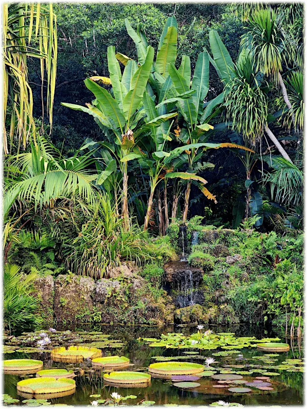 11th Independent Plant Breeders Conference