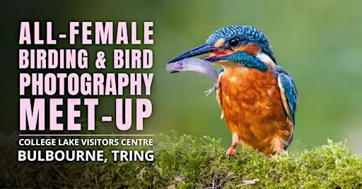 All-Female Birding & Bird Photography Morning