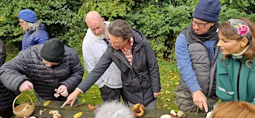 Autumn Foraging Course