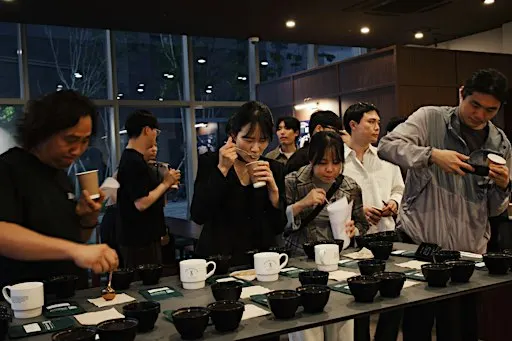 Cupping