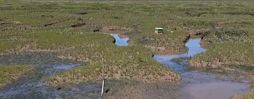 Microplastics – an unseen threat to Norfolk saltmarshes? (NB. date change)