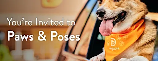 Puppy Yoga @ Dogtopia Stone Oak