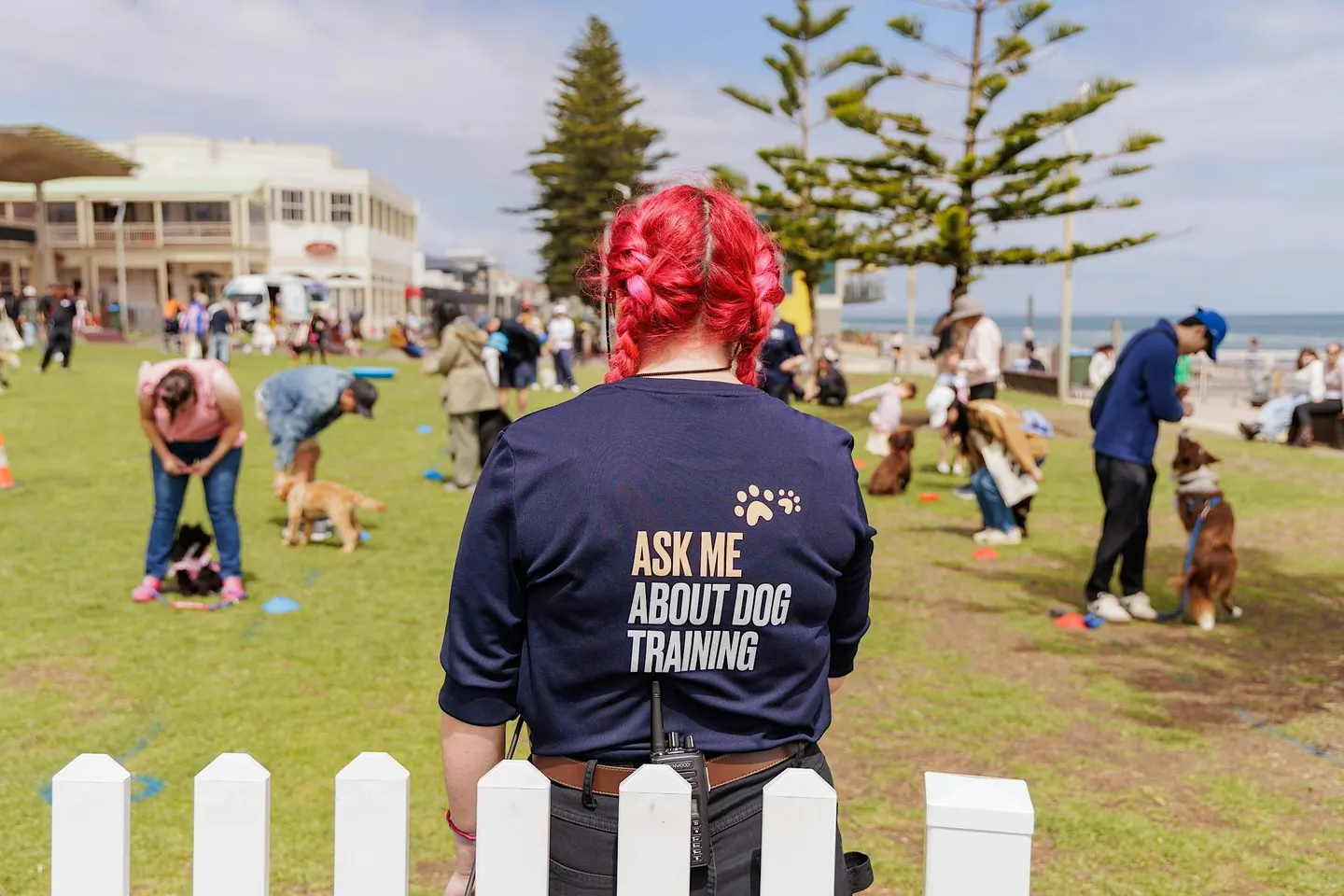 Q&A: Ask a Dog Trainer