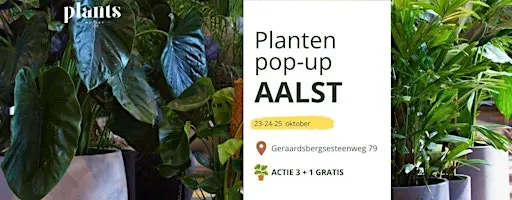 PLANTS MARKET Pop-up AALST