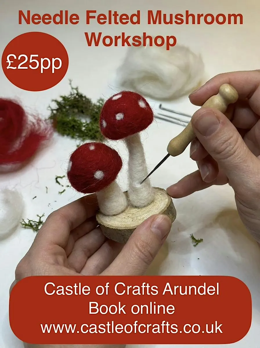 Needle Felting Toadstool Workshop