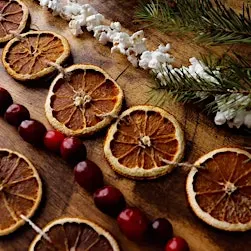 Dried Orange Garland and Simmer Pot Kit