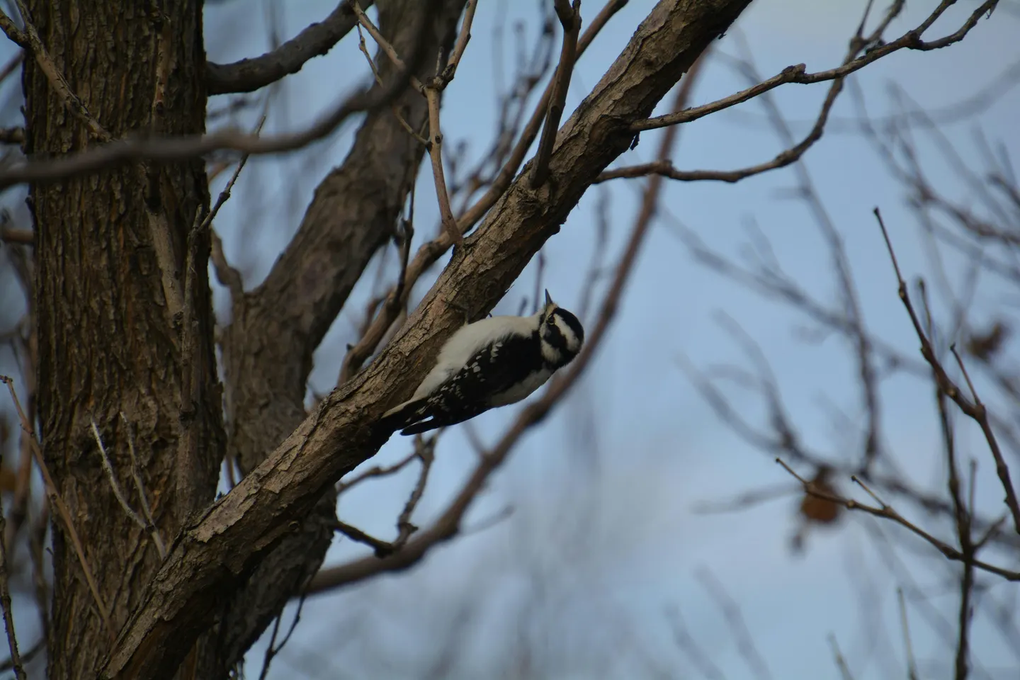 Waterwise Birding Walk