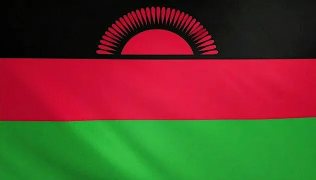 Embassy of Malawi Reception - Safari and Rare Earth Minerals