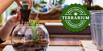 Terrarium Workshop - Succulent Edition - Build Your Own Terrarium