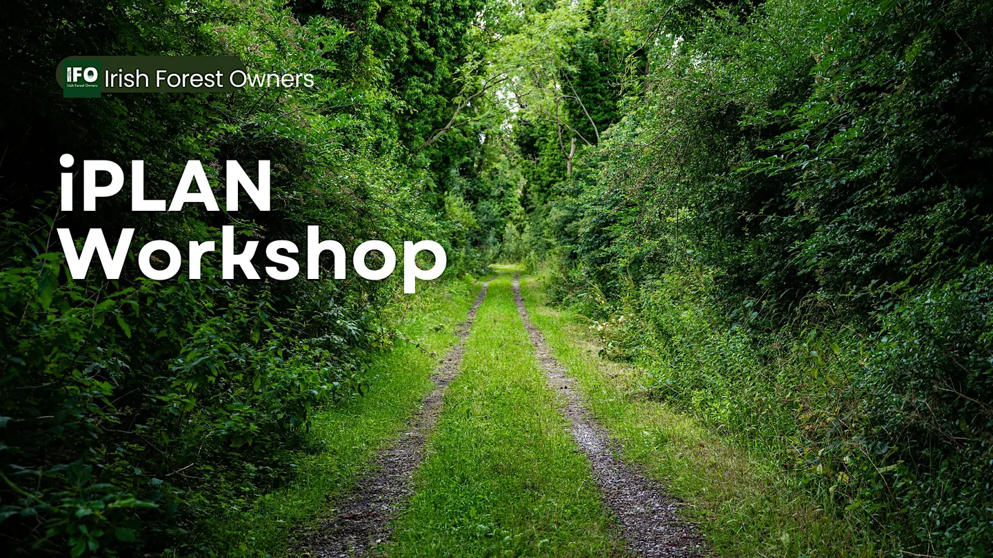 iPLAN Workshop Cork