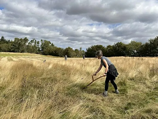 Scything & Wildflowers at Ury Riverside Park
