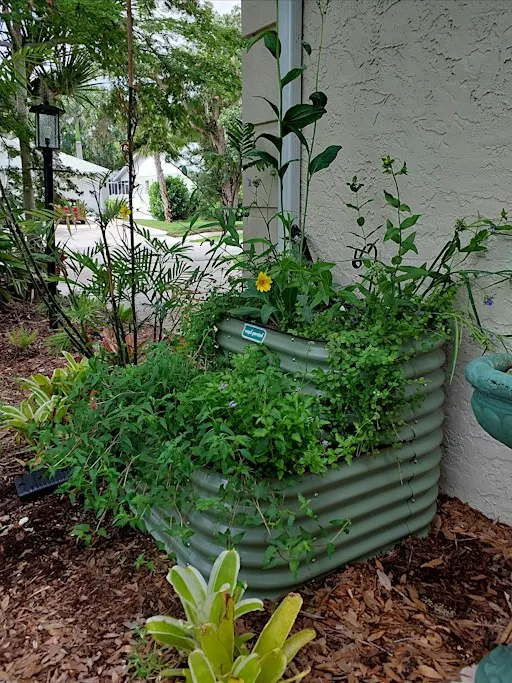Save the Drops! Opportunities for Water Conservation in your Landscape