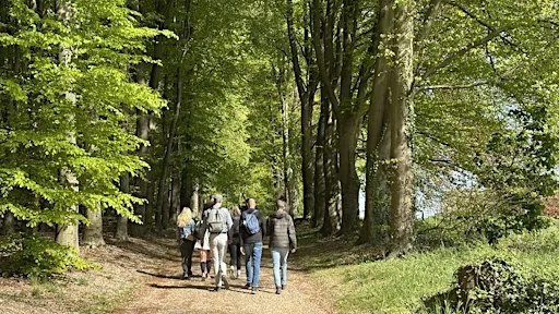 Social & Step Achterhoek (Doetinchem) met de Walk Club
