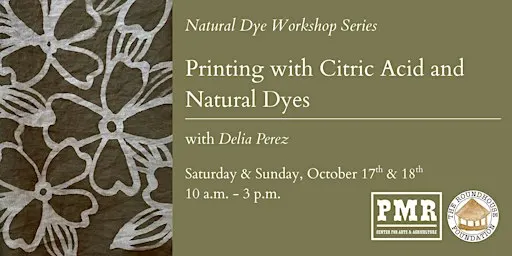 Natural Dye Workshop Series: Printing with Citric Acid & Natural Dyes