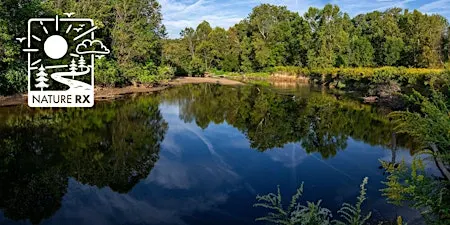 Nature Rx | Water Stories Told Through Mindful Photography
