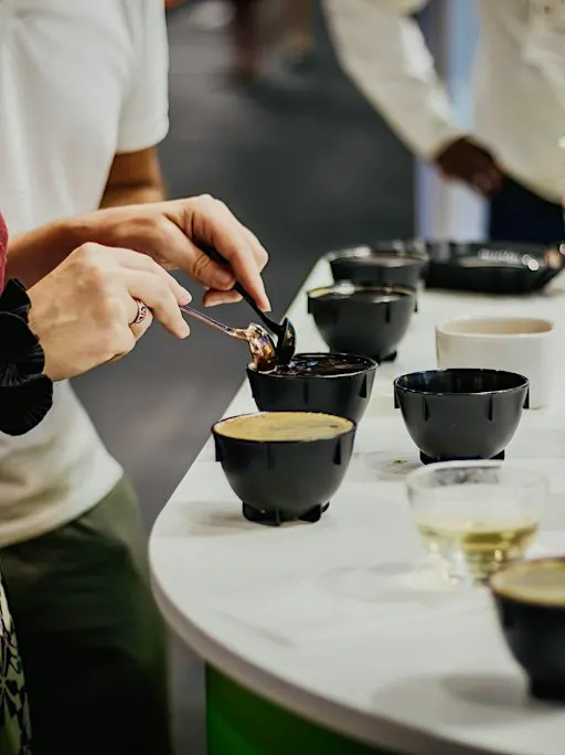 Exploration sensorielle et dégustation de café