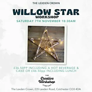 Willow Star with Lights Workshop