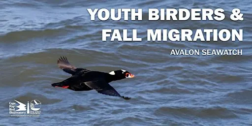 Youth Birders and Fall Migration: Avalon Seawatch