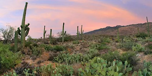 Master Your Camera Controls and Composition in the Field - Photo Workshops