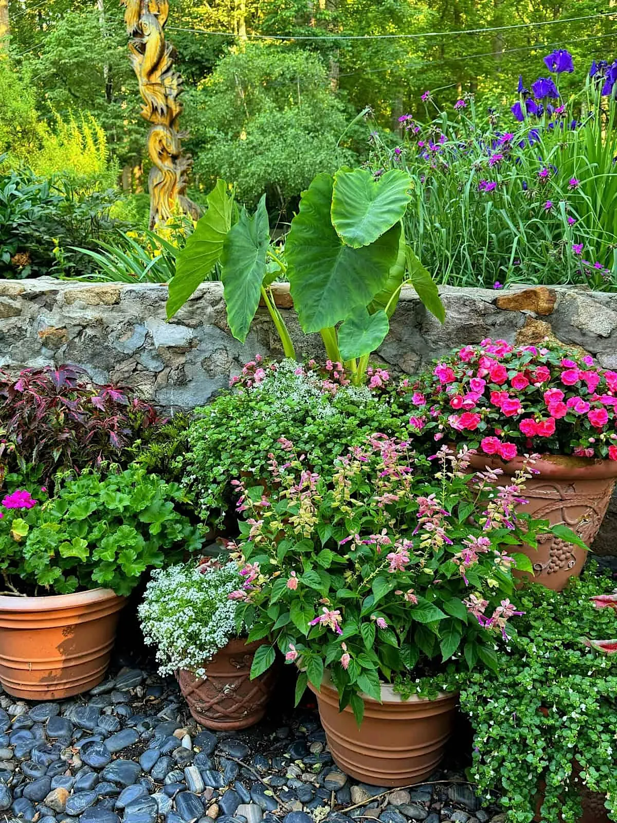 Container Planting