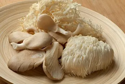Grow Your Own Mushrooms