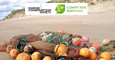 Balmedie Beachwatch - beach clean and litter survey