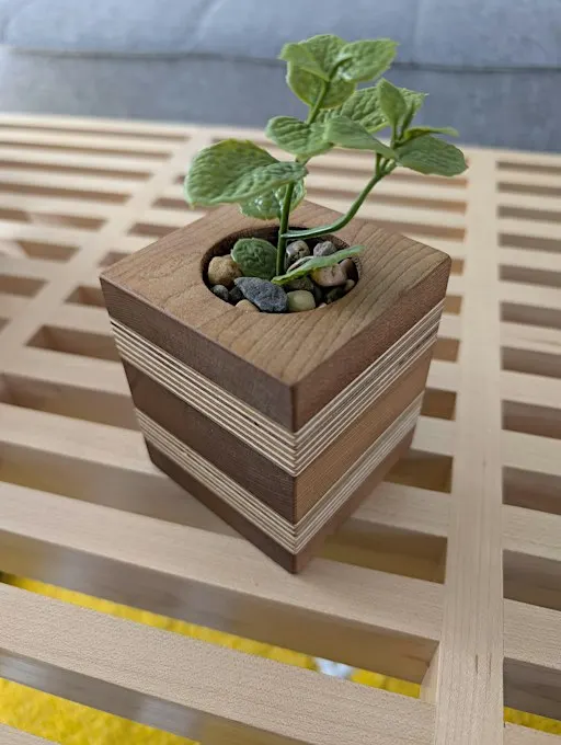 Build a Decorative Succulent Planter