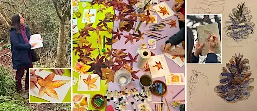 Nature Journaling: Autumn Treasures at Westonbirt Arboretum