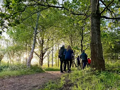 Lincoln Hike Club - Saturday Social 12 - Swan Holme / Hartsholme Circular