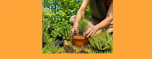 Reducí tu estrés. Conectá con las plantas.