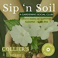 Sip 'N Soil | Kooky Kokedamas