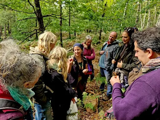 Fungi ID Walks - Sundays Yarner Wood