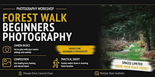 Forest Walk: Beginners Photography