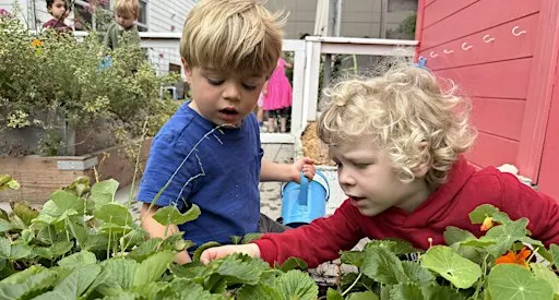 CIRC PreK presents: Atelier of Nature