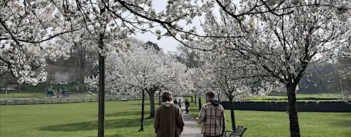 Community Mindful Walk in Hove Park, Brighton