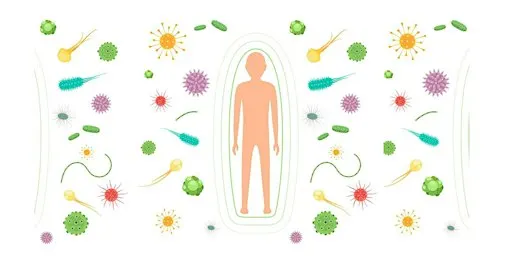 Take Home TCM: Supporting Immunity with Traditional Chinese Medicine