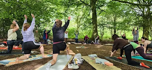 Yoga & Forest Bathing in the Woods