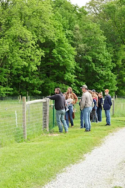 Seven Sons Pasture Walk Tour