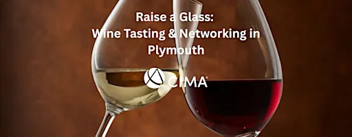 Raise a Glass: Wine Tasting & Networking in Plymouth