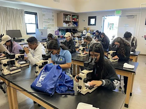 Microscope Lab Community Day