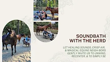 Soundbath with the Herd