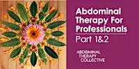 Abdominaltherapie für Praktiker:innen Teil 1&2