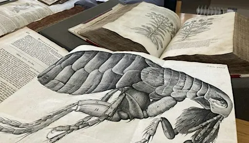 500 Years of Science in Print (Saturday, 4pm)