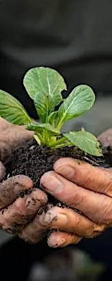 Blackwood LANDFARM Volunteer Sign-up