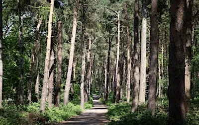 Good company, fresh air - NWT Broadland Country Park