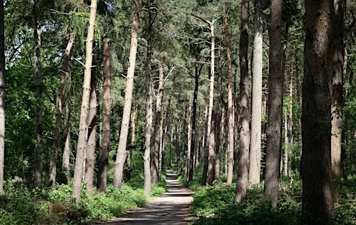 Good company, fresh air - NWT Broadland Country Park
