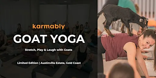 Goat Yoga Gold Coast